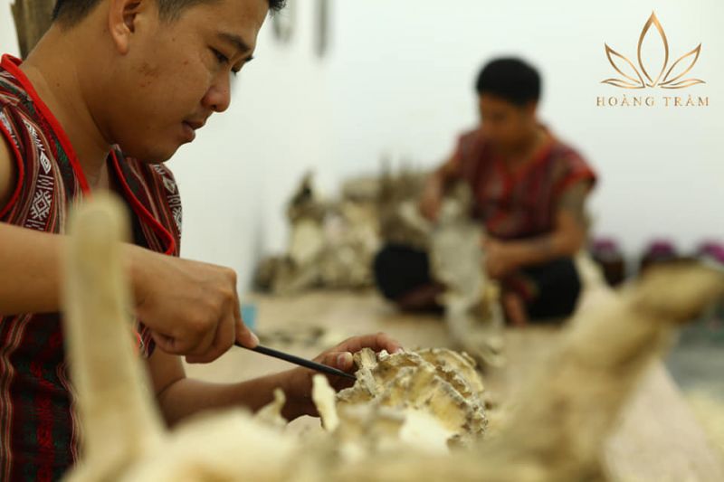 Trầm hương Hoàng Trầm